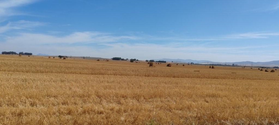 0 Bedroom Property for Sale in Hermon Western Cape